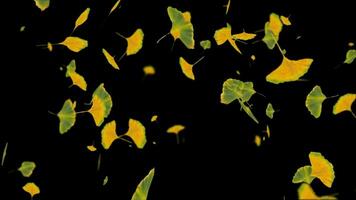 hojas partícula efecto video