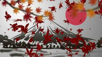 Autumn maple leaves video