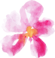roze bloem waterverf verf png