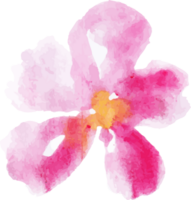 rosado flor acuarela pintar png