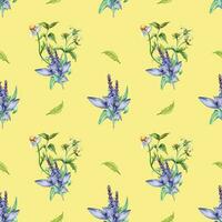 Sage herbal plant, bidens tripartita watercolor seamless pattern isolated on beige background. Salvia, nettle, camomile, daisy useful flowers hand drawn. Design for textile, package, wrapping, fabric. vector