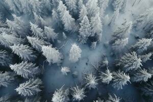 Foggy landscape with spruce winter forest. Gloomy forest . Top view. Generated by artificial intelligence photo