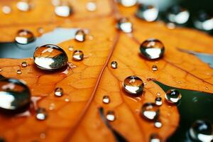 Close up of raindrops embellishing greenhouse glass natures delicate artwork photo