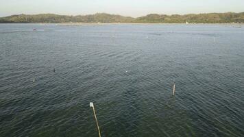 Aerial view of speedboat in shallow water. Travel and leisure activities concept video