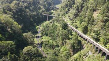 aérien drone vue de une pont dans le milieu de forêt dans plunyon, Yogyakarta, Indonésie video