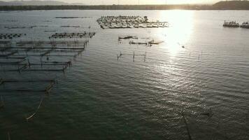 paysage de le coucher du soleil dans cultiver poisson sur le Lac tel comme chat poisson est alternative à plongeurs le nourriture nutrition. video