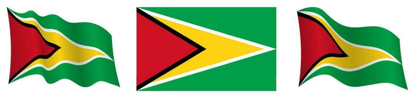 flag of Guyana in static position and in motion, fluttering in wind in exact colors and sizes, on white background vector