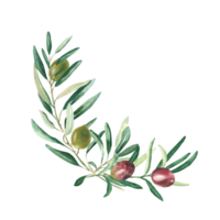 oliva rami mazzo, angolo con verde e rosso olive. acquerello mano disegnato botanico illustrazione. può essere Usato per carte, menù, loghi, cosmetici, cibo confezione design. png