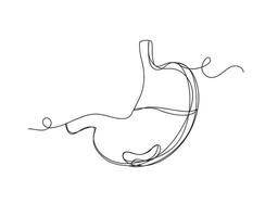 Continuous one line stomach isolated vector illustration.