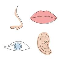 Parts of the face eye, lips, nose, ear drawn in one continuous line. One line drawing, minimalism. Vector illustration.