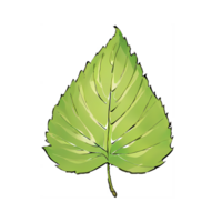 Single Leaf Hand Drawn Cartoon Style Illustration AI Generated png