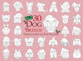 conjunto de 30 perro razas para colorante con Navidad y invierno temas conjunto 2 vector