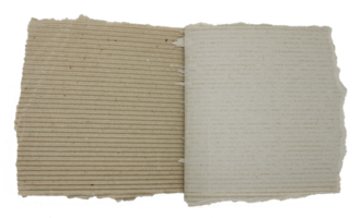 A sheet of corrugated paper is torn into pieces on transparent background png file