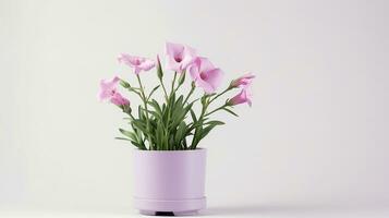 foto de lisianthus flor en maceta aislado en blanco antecedentes. generativo ai