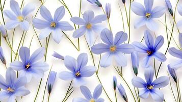 Blue Eyed Grass flower pattern background. Flower background texture. Generative AI photo