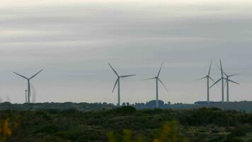 renouvelable énergie avec vent turbines video