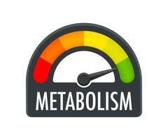 Metabolism level scale. Sign tachometer, speedometer, indicators Vector stock illustration