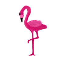 roze flamingo vogel png