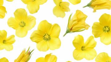 Evening Primrose flower patterned background. Flower texture background. Generative AI photo