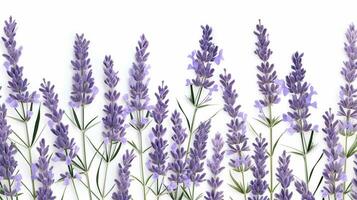 Lavender flower patterned background. Flower texture background. Generative AI photo