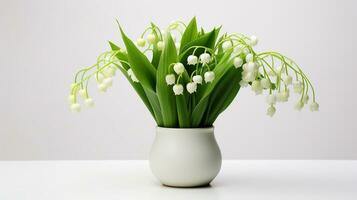 Photo of Lily of the Valley flower in pot isolated on white background. Generative AI