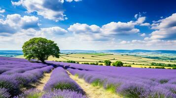 idílico y encanto de laminación campo paisaje foto