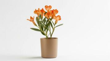 Photo of Freesia flower in pot isolated on white background. Generative AI