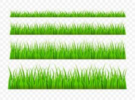 Green grass meadow border vector pattern. Grass background Vector Illustration.