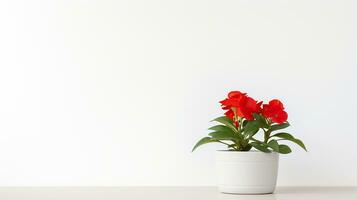 Photo of Impatiens flower in pot isolated on white background. Generative AI