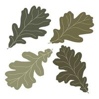 conjunto de vector siluetas de de colores roble hojas