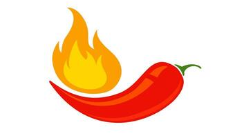 Vector emblem of red chilli pepper with fire. Vector emblem jalapeno or chilli pepper in flame.