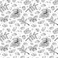 Pistachio seamless pattern collection. Vintage sketch design. Organic food illustration. Natural nut snack background. Vegetarian retro wallpaper. Decorative botany vector illustration in sketch style