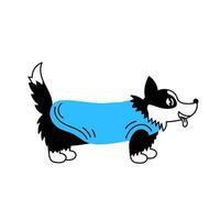 Corgi in clothes doodle vector