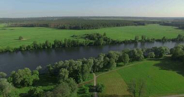 une rivière parmi des champs et les forêts video