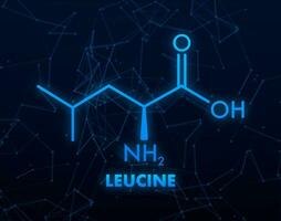 Icon with leucine formula. Essential Amino Acid molecular formula. vector