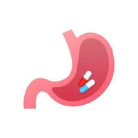 Taking stomach pills. Endoscope in stomach through esophagus. Vector stock illustration