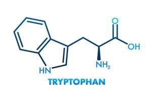 Tryptophan formula. Tryptophan or l tryptophan, Trp, W amino acid molecule. vector