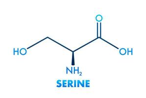 Serine formula. Serine or l serine, Ser, S, amino acid molecule vector