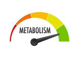 Metabolism level scale. Sign tachometer, speedometer, indicators Vector stock illustration