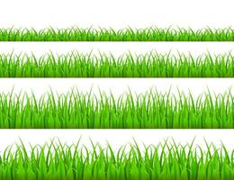 Green grass meadow border vector pattern. Grass background Vector Illustration.