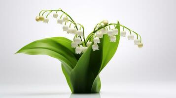 Photo of beautiful Lily of the Valley flower isolated on white background. Generative AI