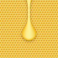 Honeycomb and honey. Monochrome honey pattern. Vector stock illustration