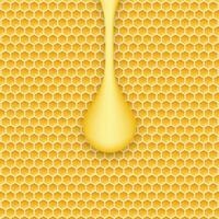 Honeycomb and honey. Monochrome honey pattern. Vector stock illustration