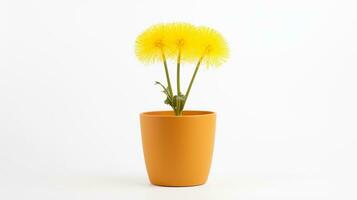 Photo of Dandelion flower in pot isolated on white background. Generative AI