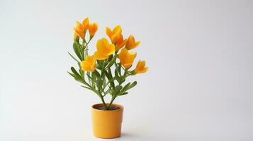 Photo of Freesia flower in pot isolated on white background. Generative AI