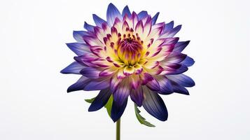 Photo of beautiful Harlequin flower flower isolated on white background. Generative AI