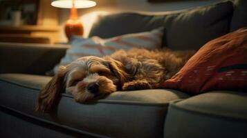 Photo of a sleepy dog cozily snuggles on a comfy couch in a cozy living room. Generative AI