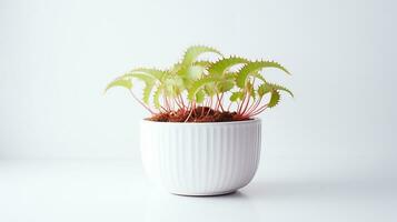 Photo of Venus Flytrap flower in pot isolated on white background. Generative AI