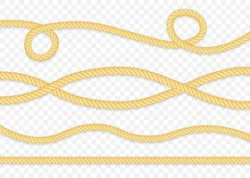 Set of different thickness ropes isolated on white. Vector stock illustration.