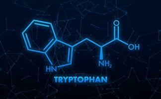 Tryptophan formula. Tryptophan or l tryptophan, Trp, W amino acid molecule. vector